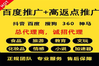 短视频平台的SEM推广实践与效果